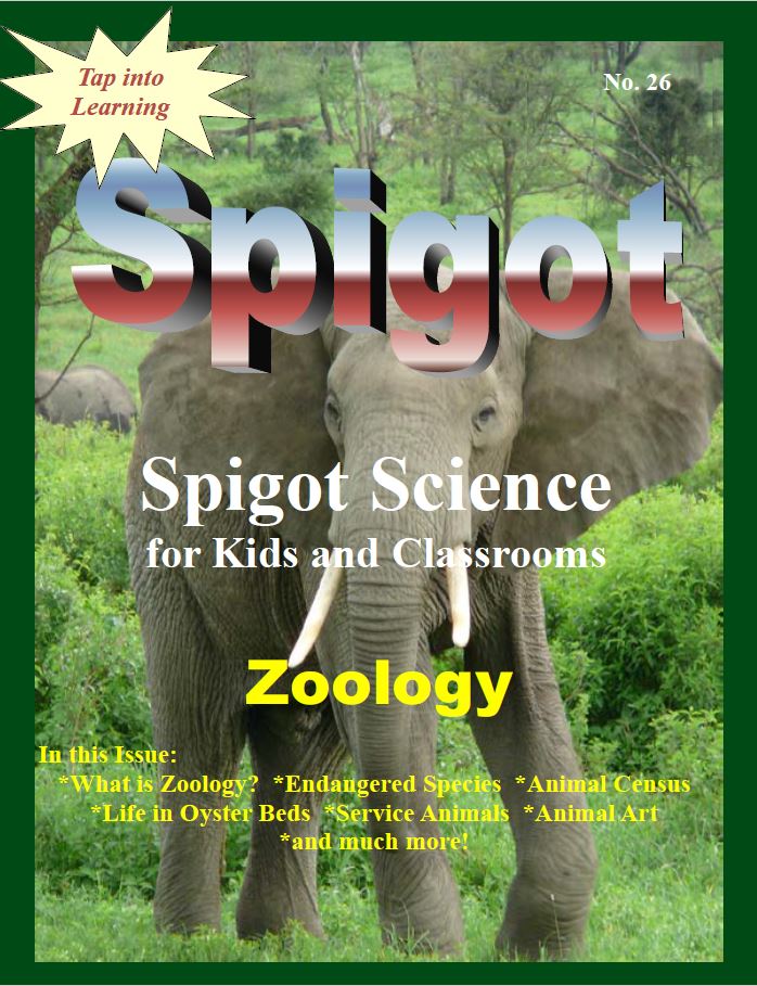 Cover for the Spigot Science Magazine issue titled Zoology