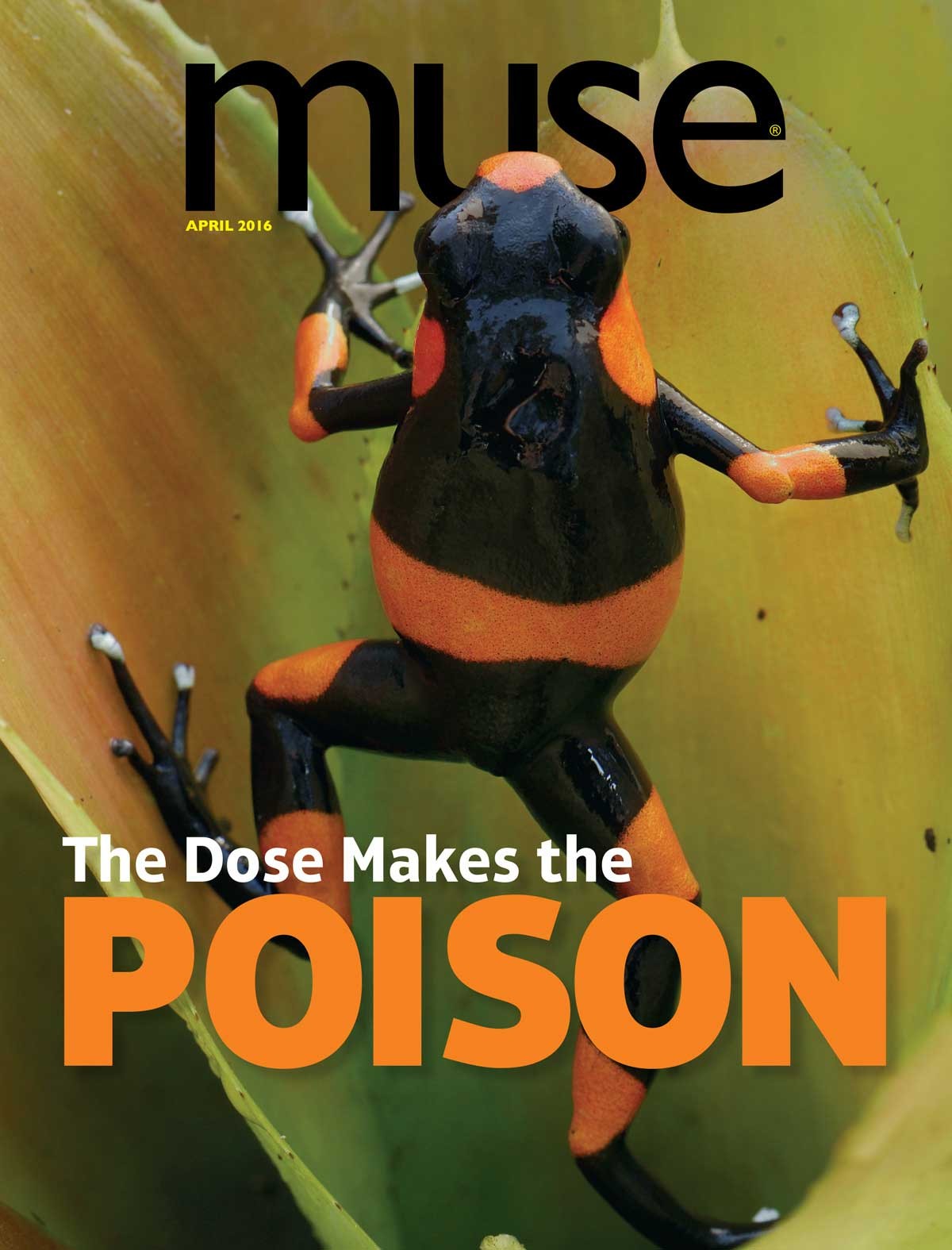 Cover for the Muse April 2016 issue titled The Dose Makes the Poison