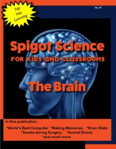 Cover for the Spigot Science Magazine issue titled The Brain